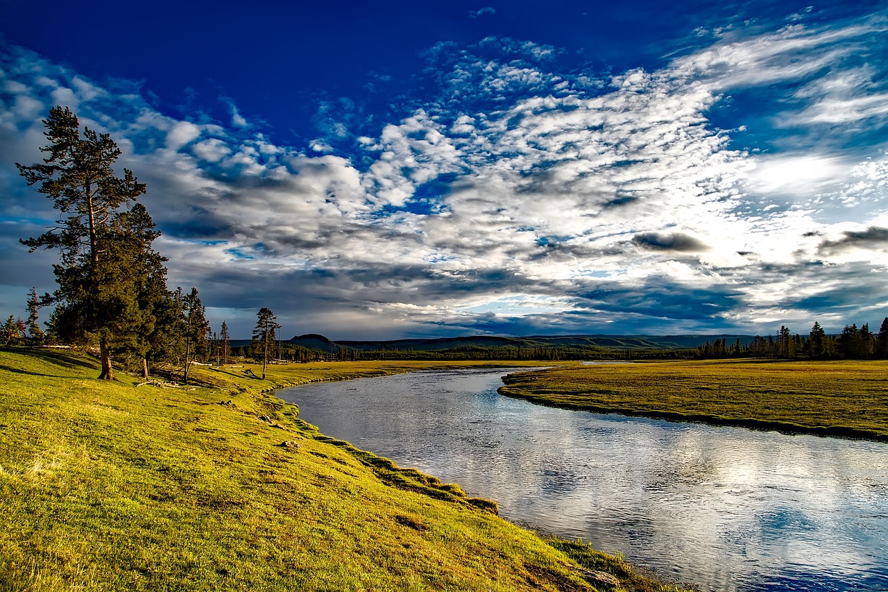 Yellowstone Park